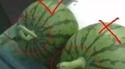 著名的娱乐吃瓜,吃瓜群众揭秘明星幕后故事