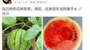 娱乐新鲜事吃瓜,揭秘明星幕后故事