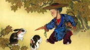 九死一生打一生肖,揭秘老鼠为何成为“九死一生”的象征